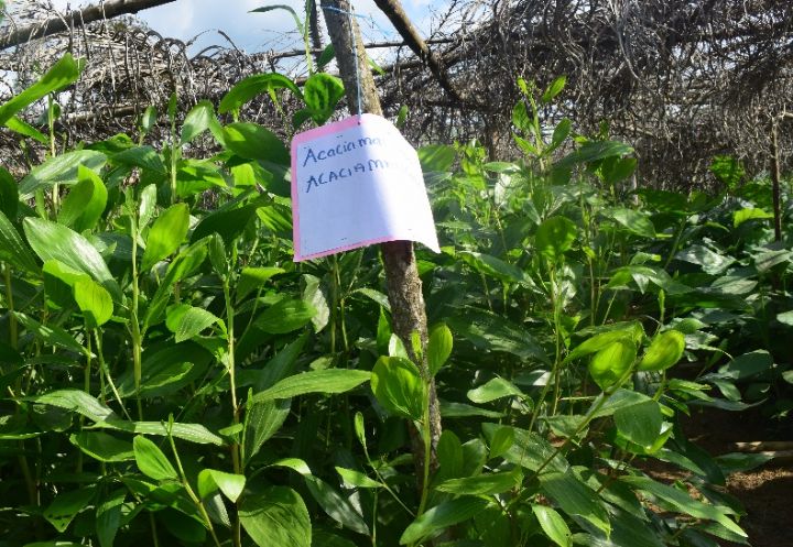 Lutte contre le changement climatique: Un forum annuel pour encourager les investissements en Afrique